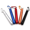 Portable Telescopic Metal Straw Set | Reusable Stainless Steel Travel Straw & Case